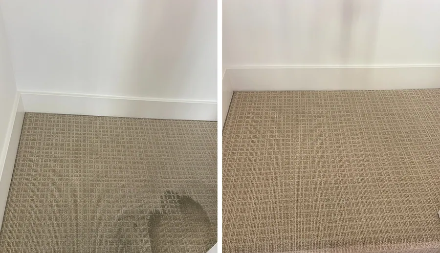 Stair landing carpet stain removal before and after in Walnut Creek